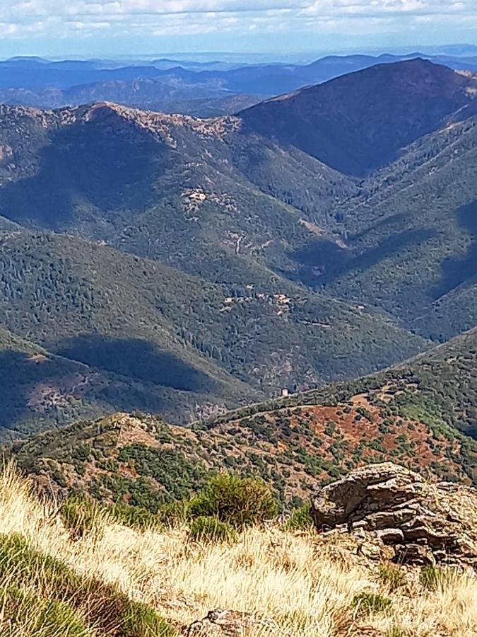 Gite En Cevennes Du Sud, Bergerie Restauree Au Rez De Jardin D'Une Bastide Avec Piscine, Vue Exceptionnelle, Authenticite Et Confort Saint-Laurent-le-Minier Exteriör bild