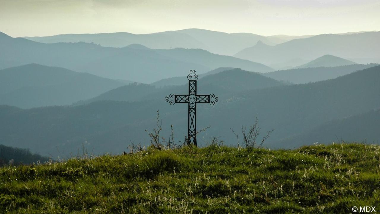 Gite En Cevennes Du Sud, Bergerie Restauree Au Rez De Jardin D'Une Bastide Avec Piscine, Vue Exceptionnelle, Authenticite Et Confort Saint-Laurent-le-Minier Exteriör bild
